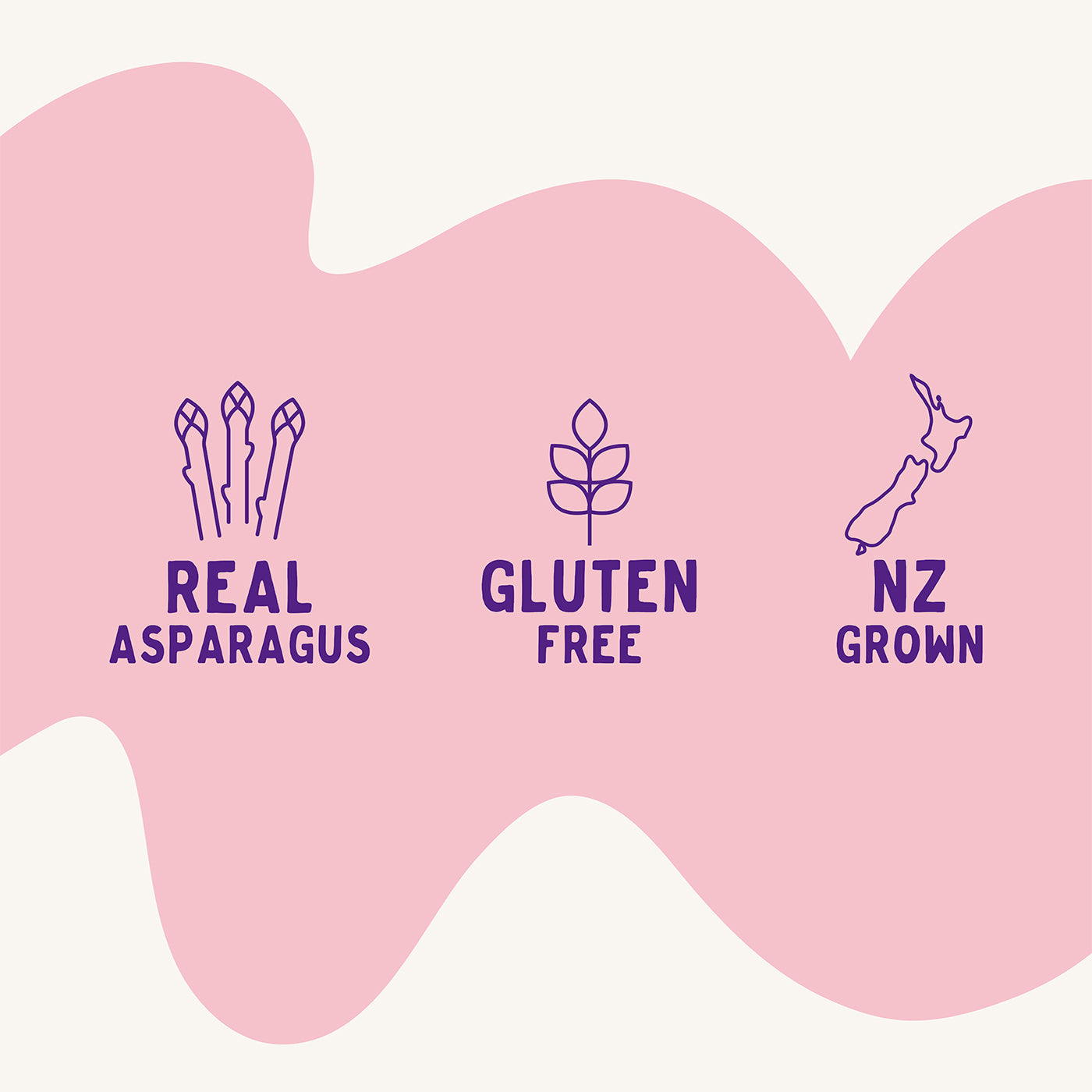 Natural Flavour packs - Freeze Dried Asparagus
