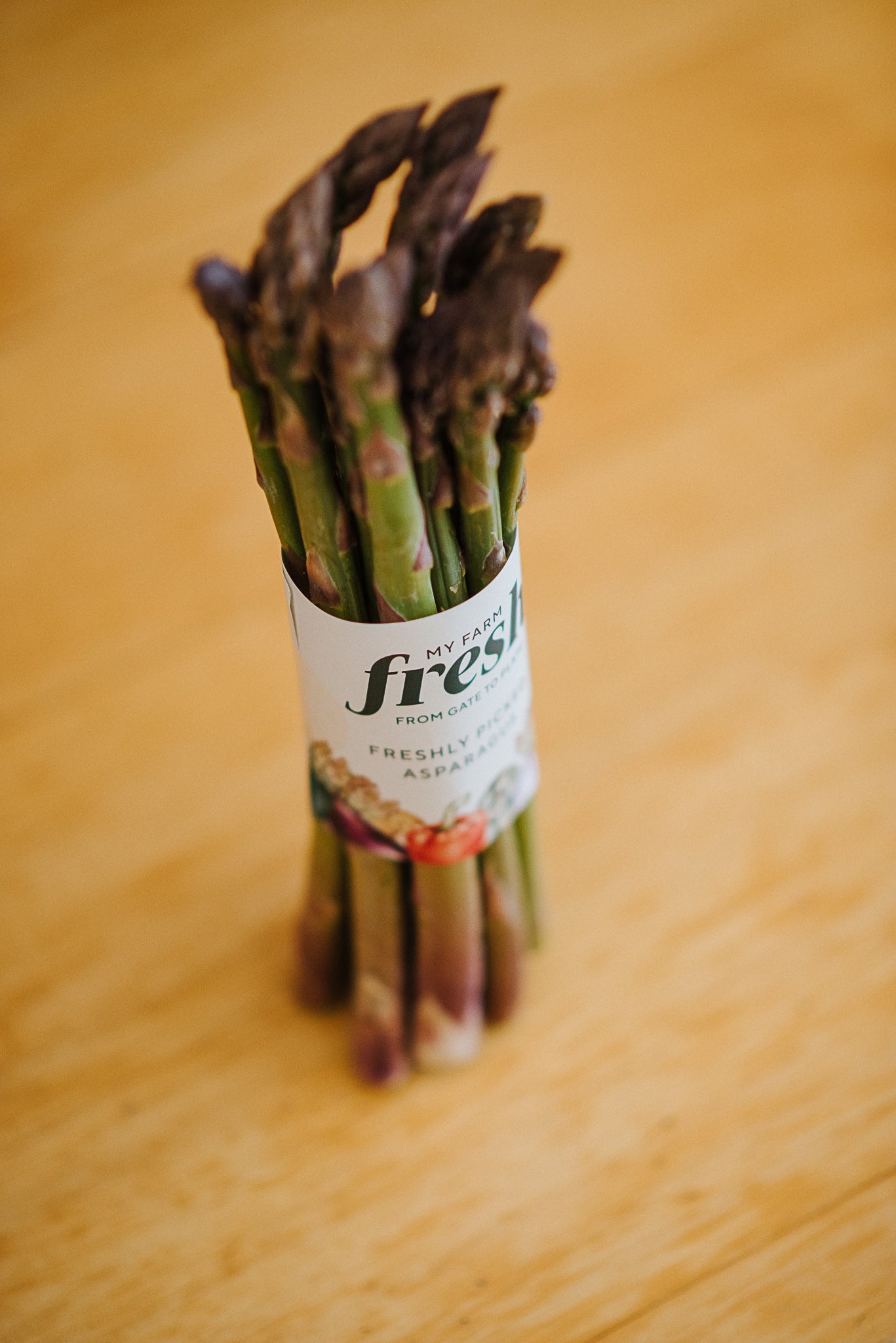 Freshly Picked Asparagus
